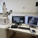 SEM (Scanning Electron Microscope)